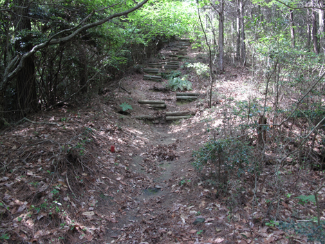 20140524hike (254)